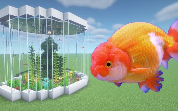 【Gamingturtle】我的世界|建造金鱼农场How To Make a Ranchu Goldfish Farm in Minecraft PE截图