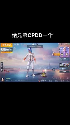 video-2136295