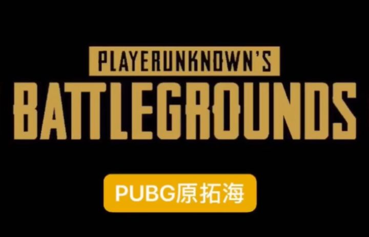 at PUBG原拓海 绝地求生手游吃鸡集锦8截图