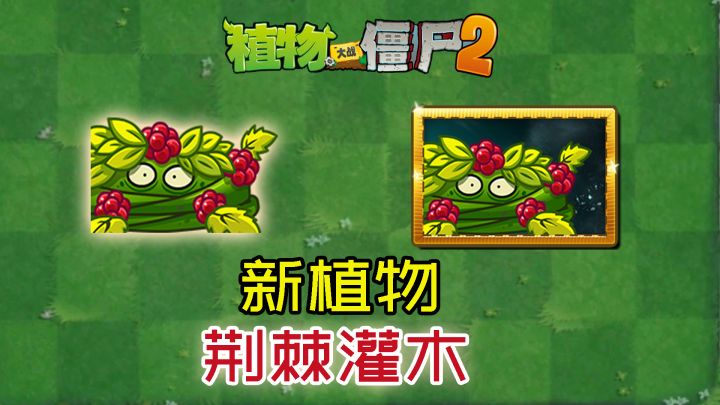 pvz2:国际版新版本情报,新植物荆棘灌木登场!截图