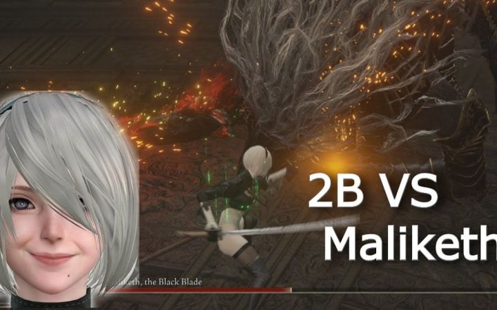 转载【4K】2B(mod)VS黑剑 玛利喀斯 轻松击杀截图