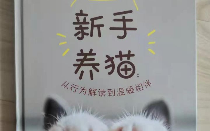 养猫手册|12法则截图