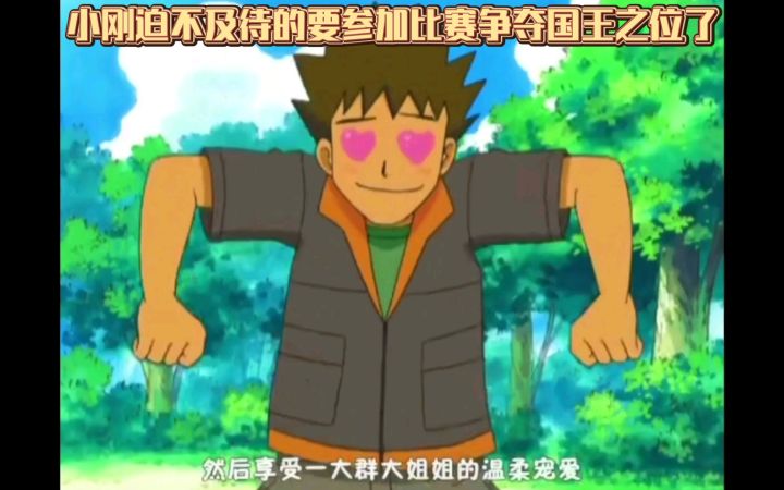 精灵宝可梦 小刚迫不及待的要参加比赛争夺国王之位了截图