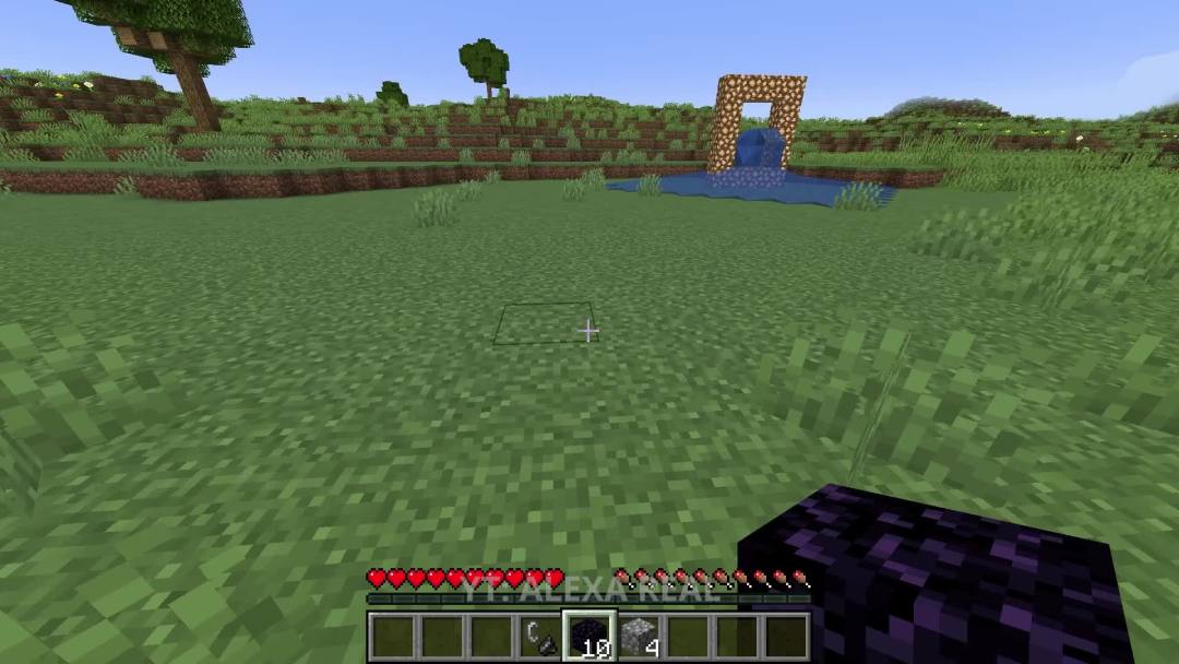 video-2765386