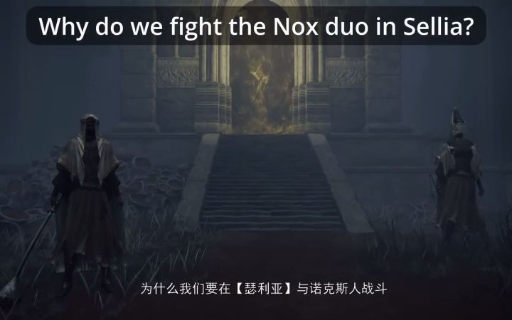[中字] 《艾尔登法环》诺克斯巨人崇拜与无上意志（Sekiro Dubi）截图