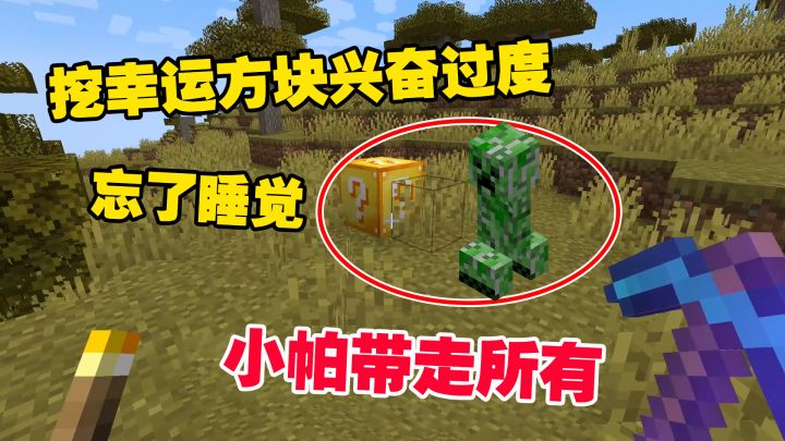 我的世界匠魂24:挖幸运方块兴奋过度,忘了睡觉,小帕带走所有截图