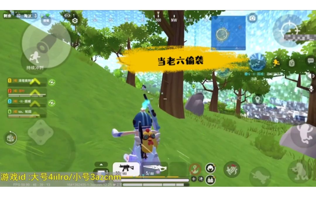 video-2377424