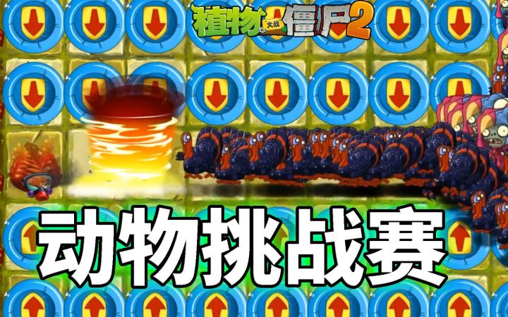 Pvz2动物挑战赛 谁是最强杀鸡小能手?截图