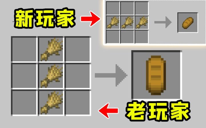 我的世界:老玩家才知道的,6个简单技巧!截图