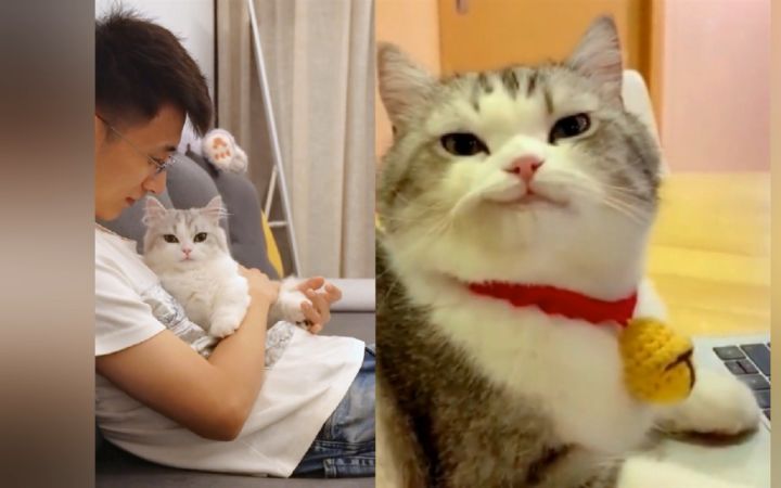 “女人,你拿什么和我抢男人?”截图
