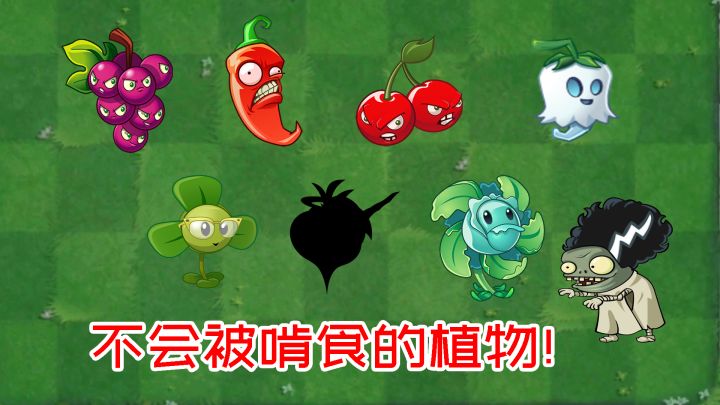 植物大战僵尸:哪些植物不会被僵尸啃?截图