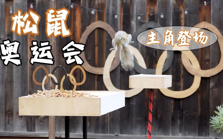 前NASA天才工程师设计：史上最大规模的“松鼠奥运会”截图