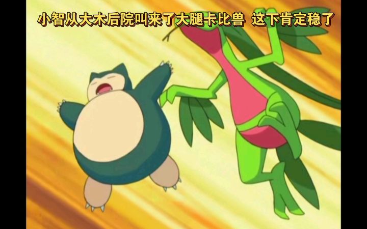 精灵宝可梦 小智从大木后院叫来了大腿卡比兽 这下肯定稳了截图