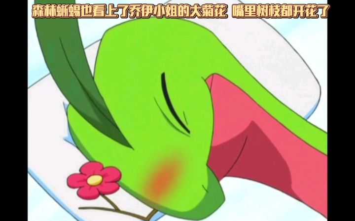 精灵宝可梦 森林蜥蜴也看上了乔伊小姐的大菊花 嘴里树枝都开花了截图