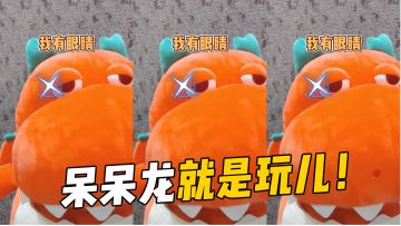 我有翅膀，但我不飞～诶！就是玩儿！