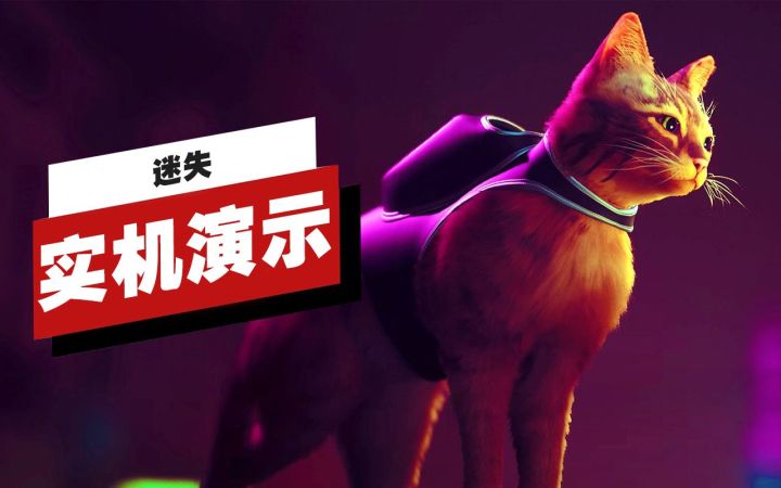 【IGN】《迷失(Stray)》开场16分钟实机演示截图