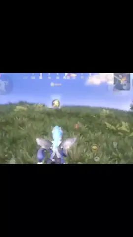 video-2124175