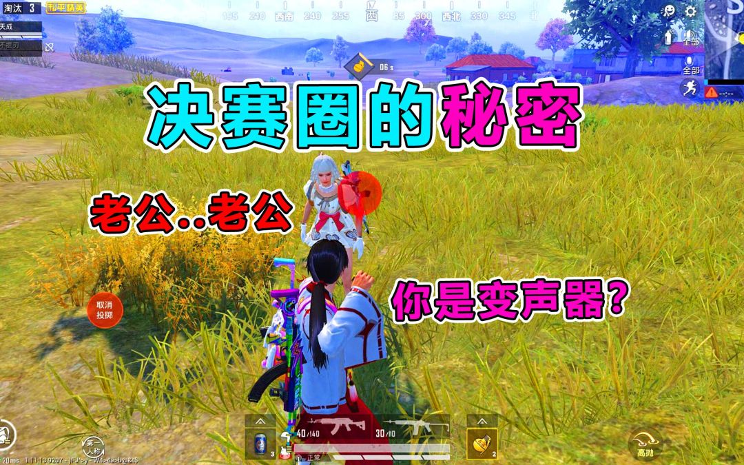 video-2051303