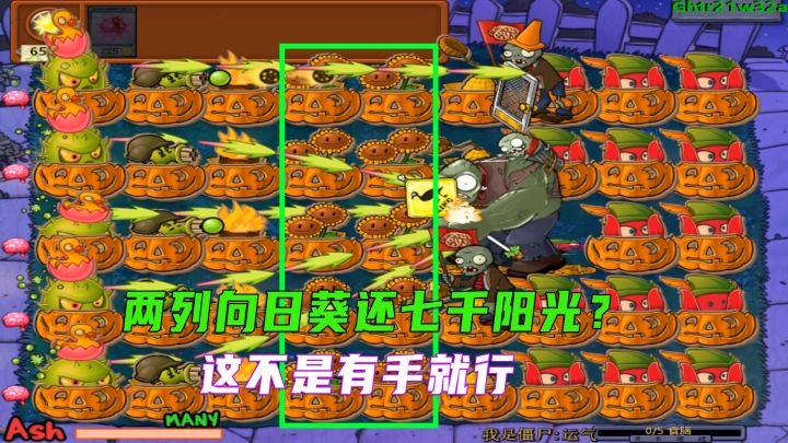 植物大战僵尸：挑战粉丝投稿，七千阳光能否成功？截图