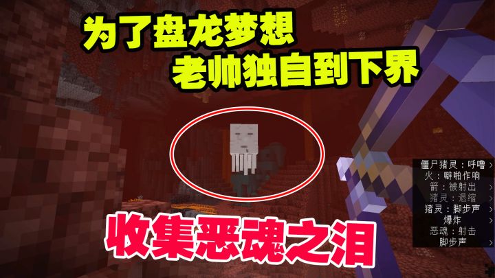1.19联机41：为了盘龙的梦想，老帅独自一人到下界，收集恶魂之泪截图