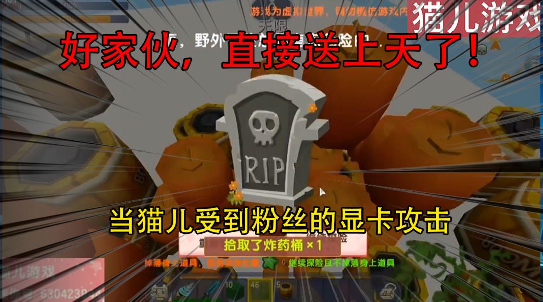 video-2175269