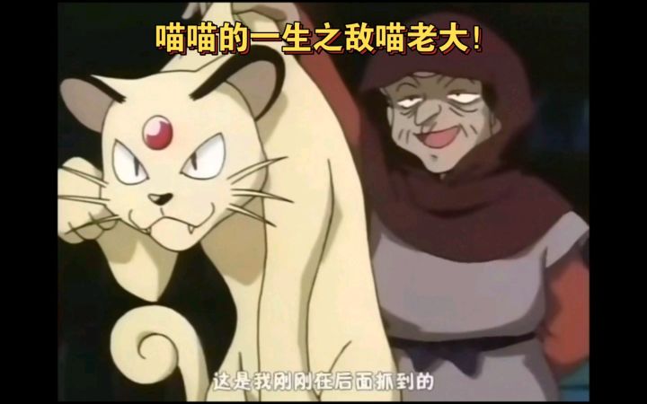 精灵宝可梦 喵喵的一生之敌喵老大截图
