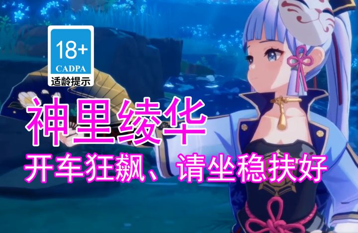【原神歪传】神里绫华开车狂飙!请坐稳扶好#暑假人集结#截图