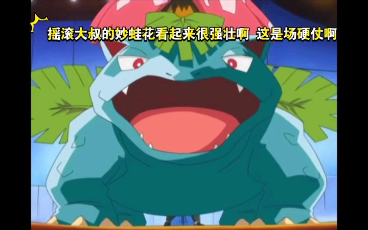精灵宝可梦 摇滚大叔的妙蛙花看起来很强壮啊 这是场硬仗啊截图