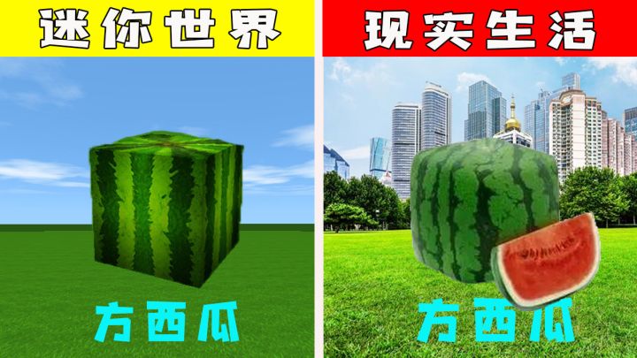 迷你世界:游戏世界VS现实世界,现实中居然也有方西瓜,我还是第一次见截图