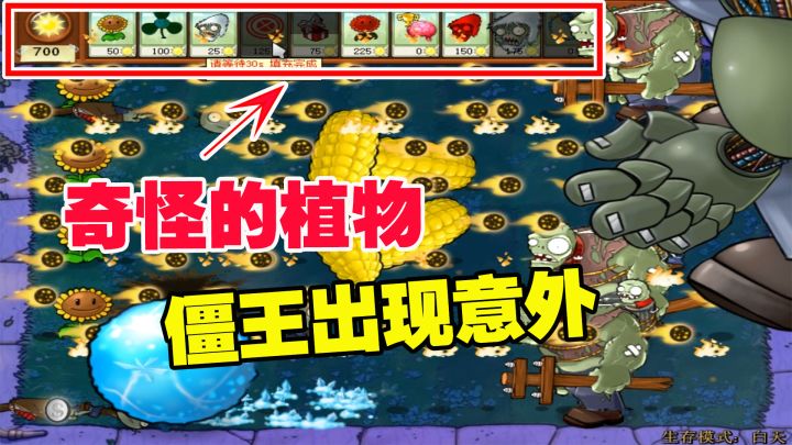 植物大战僵尸：场上的植物很奇怪，僵王出现意外截图