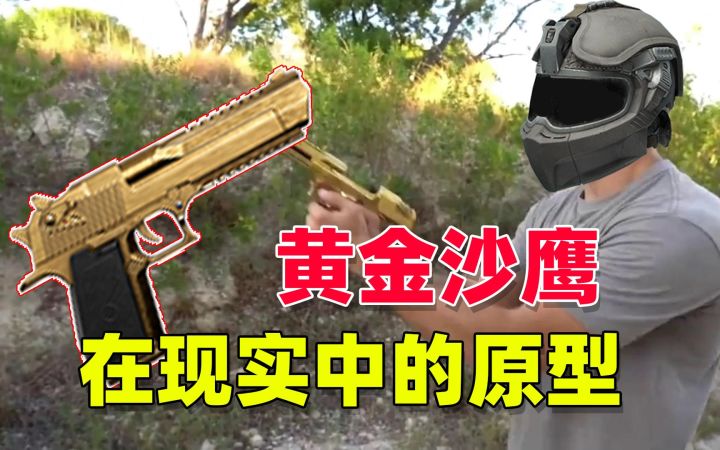 暗区突围:黄金沙鹰在现实生活中,居然有原型!截图
