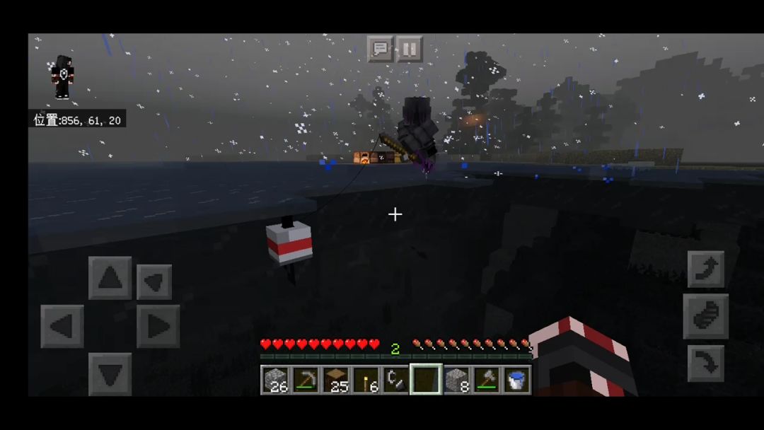 video-1325390