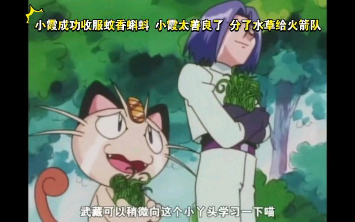 精灵宝可梦 小霞成功收服蚊香蝌蚪 小霞太善良了 分了水草给火箭队截图