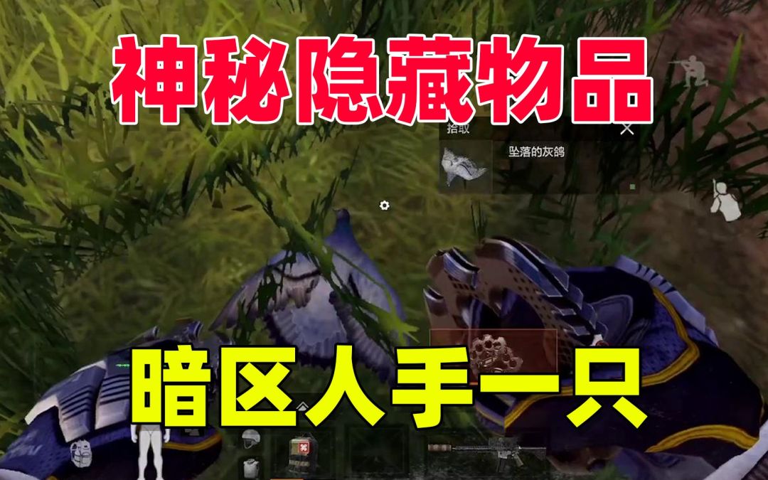 video-3724352