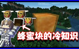 我的世界冷知识：小小的蜂蜜块，居然还有这么多作用