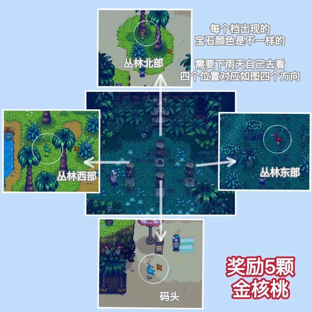 星露谷物语|金核桃全攻略-任务篇 3