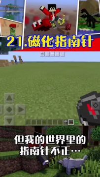#我的世界冷知识 #作品推广 我的世界你不知道的几个冷知识