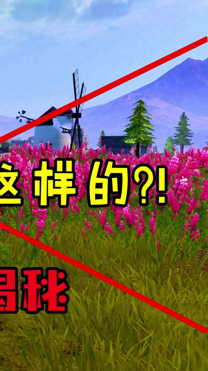 花都背后故事,竟然是这样的?!(3) #和平精英 #吃鸡 #游戏截图