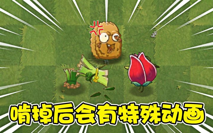 植物大战僵尸:被僵尸啃掉后,有特殊动画的植物截图