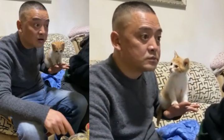 “这就是当初不准你养猫的父母?”截图