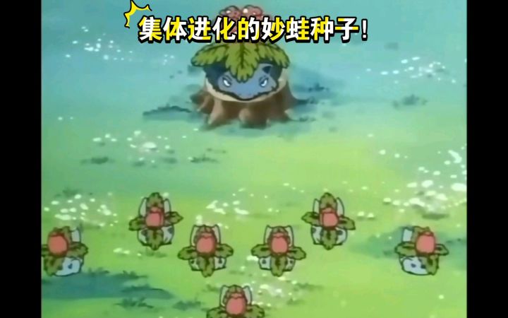 精灵宝可梦 集体进化的妙蛙种子截图