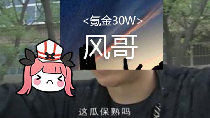 我!风哥!30万!截图
