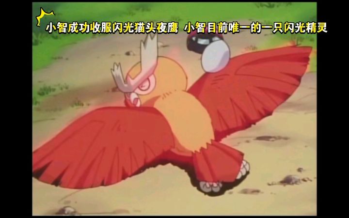 精灵宝可梦 小智成功收服闪光猫头夜鹰 小智目前唯一的一只闪光精灵截图