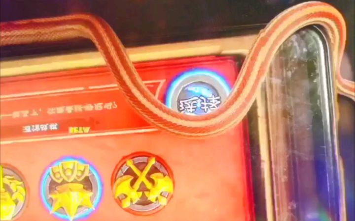 [炉石10期] 成精蛇叔亲自出马教你下棋截图