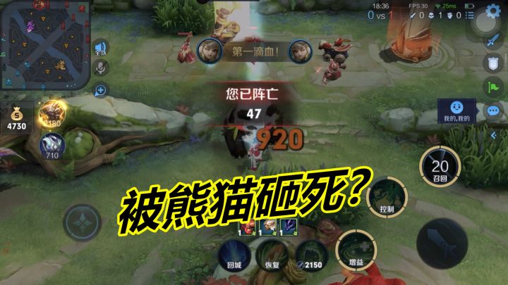 小杨揭秘:阿古朵被自己的熊猫砸死?关键在于苏烈,天选之人才能遇见截图
