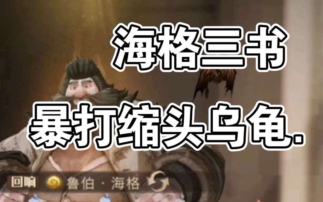 海格三书突然再次爆火？打倒王八，正义必胜！《哈利波特魔法觉醒》/蹦蹦截图