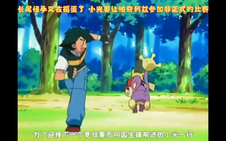 精灵宝可梦 长尾怪手又在捣蛋了 小光要让帕奇利兹参加非正式的比赛截图