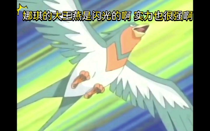 精灵宝可梦 娜琪的大王燕是闪光的啊实力也很强截图