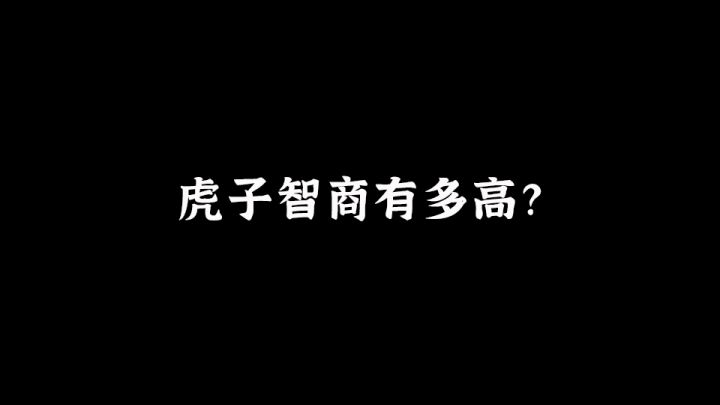 这只虎子好像不是很聪明的亚子!截图