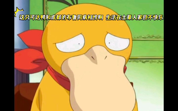 精灵宝可梦 这只可达鸭和成都的布鲁同病相怜啊 生活在土豪人家但不快乐截图